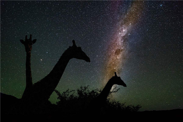 花儿与少年3纳米比亚的星空是真的吗？非洲的夜空是假的吗？